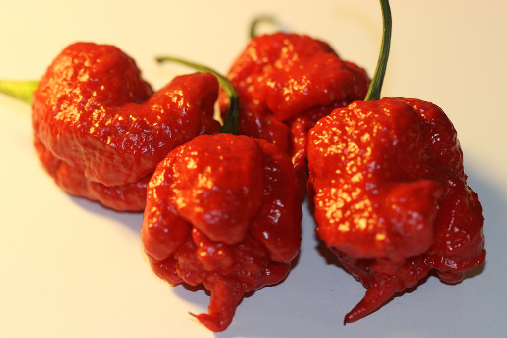 Could The Carolina Reaper Be The Hottest Pepper In The World? 